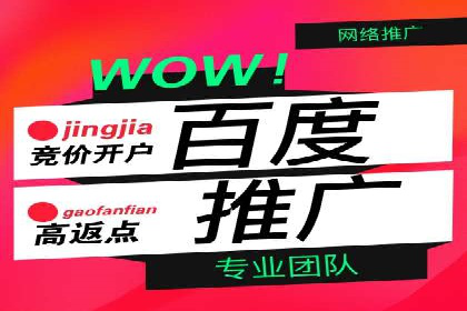 百度竞价推广托管成功故事